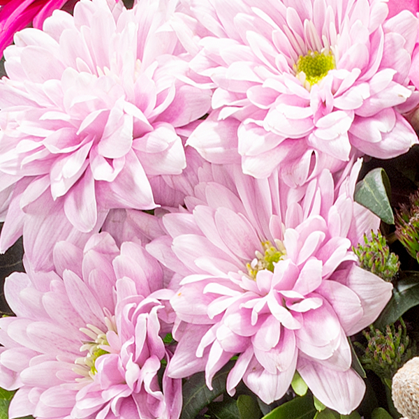 Blumenstrauß Blumenstrauß Ambiente mit Vase Zoom