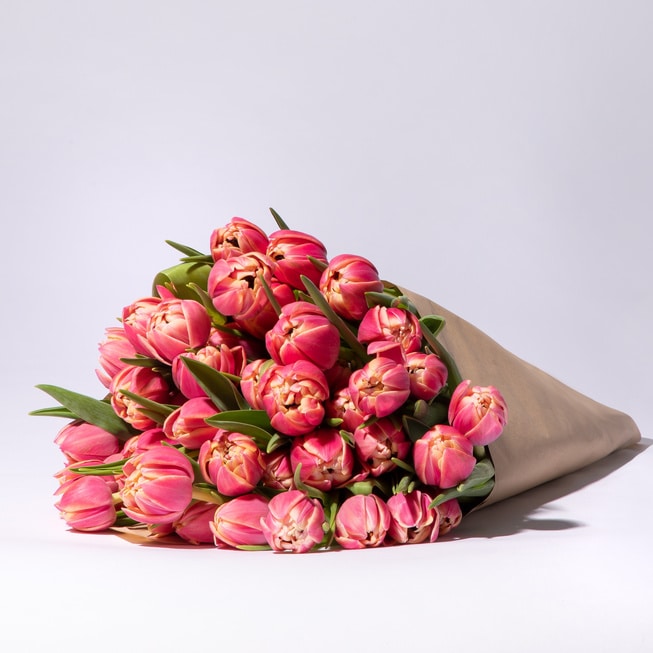 Blumenstrauß Tulpen Columbus 50 Stiele Top